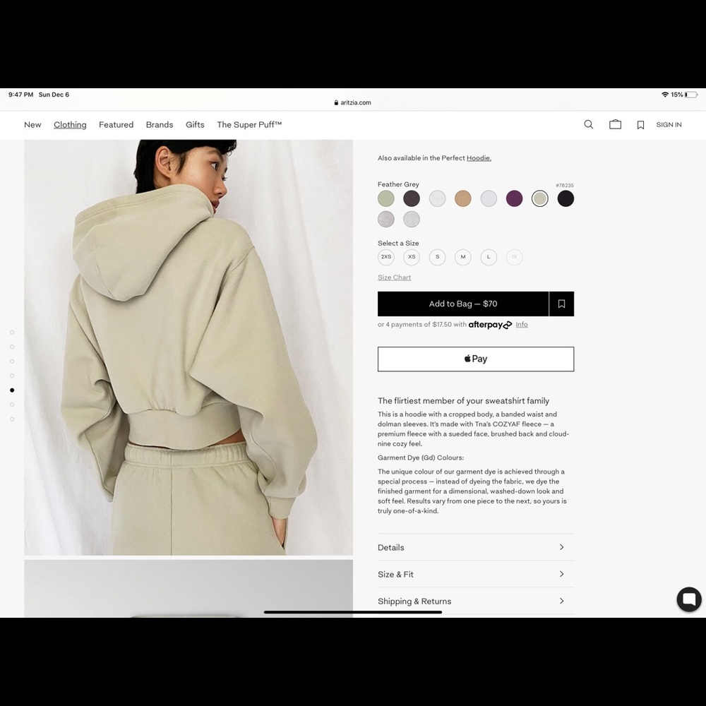 COPY - Aritzia cozy af perfect shrunken hoodie - Picture 3 of 4